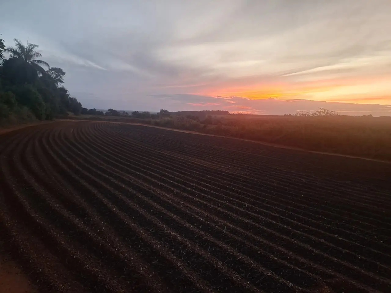 Pôr do sol sobre a lavoura