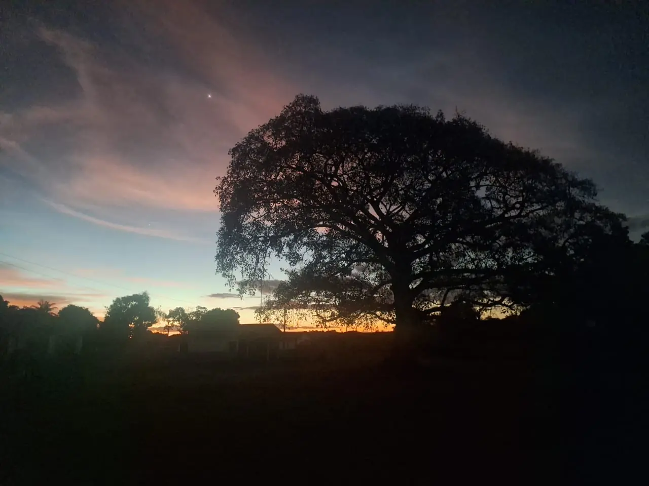 Pôr do sol e árvore na Fazenda Boa Vista